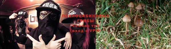крисы Алзамай