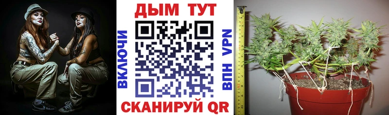 ОМГ ОМГ сайт  Иваново  МАРИХУАНА THC 21% 